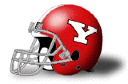 Youngstown State Penguins