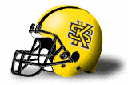 Kennesaw State Owls